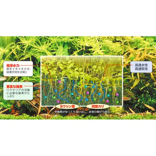 Phân Nền Gex Xanh 2kg