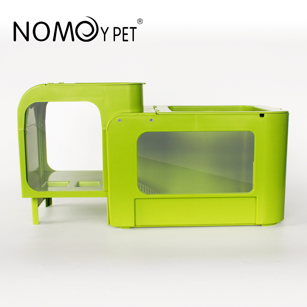 Bể chia rùa Bể rùa nhiều màu với sân thượng  Nuôi rùa thằn lằn nhện Bò sát