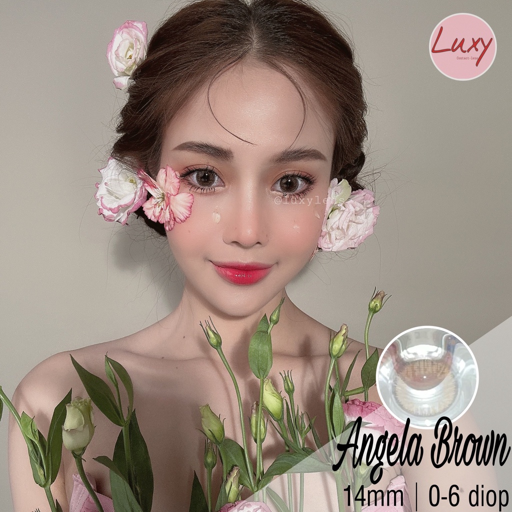 [Ảnh Thật] Lens Angela Brown 0-6 Độ LUXY LENS CHÍNH HÃNG HÀN QUỐC - Chất Lượng Hàng Đầu Hà Nội