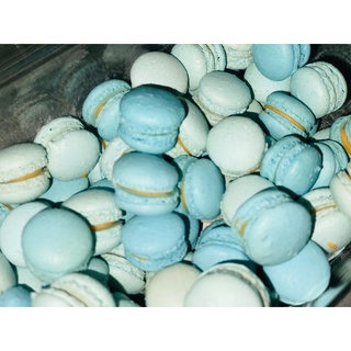 COMBO 5 MACARON MINI ( chọn vị )