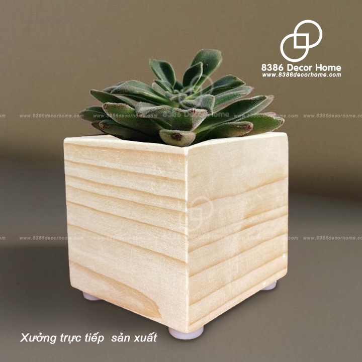 Chậu gỗ thông decor trồng cây cảnh mini, hoa cảnh để bàn, sen đá, xương rồng, tiểu cảnh