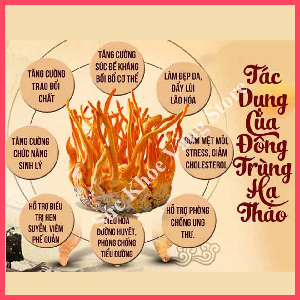 Đông trùng hạ thảo tươi - Hộp tươi đông trùng hạ thảo 140Gam | BigBuy360 - bigbuy360.vn