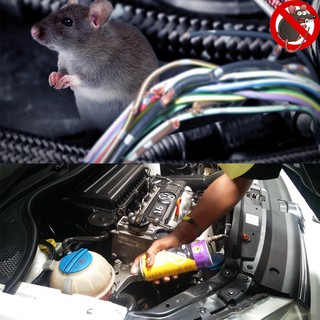 Chống chuột xe hơi 3M rodent repellant coating 250g giảm chỉ còn 250,000 đ
