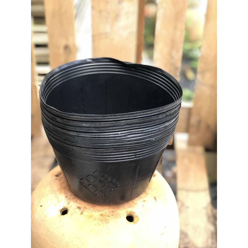 Bộ 10 chậu trồng cây lâu năm siêu bền G8 kích thước fi 175 x 155 mm
