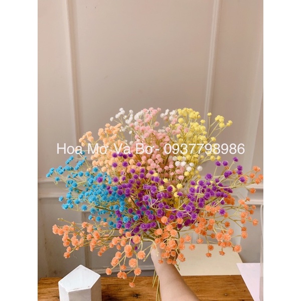 Cành Baby Tone Màu Hàn Quốc 12 Nhánh Nhỏ 1 Cành 70cm Hoa Lụa Merber - Decor Nhà Cửa Trang Trí, Bó Hoa Cưới