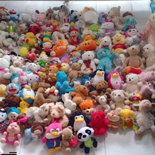 Gấu bông khách đặt