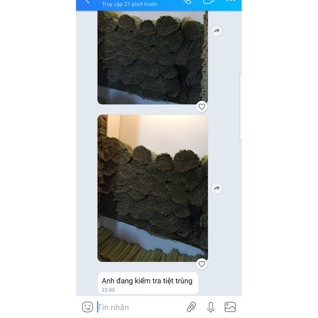 Ông hút cỏ bàng/tre khô Love natural xuất khẩu Châu Âu (100 ống) để được 6 tháng | BigBuy360 - bigbuy360.vn