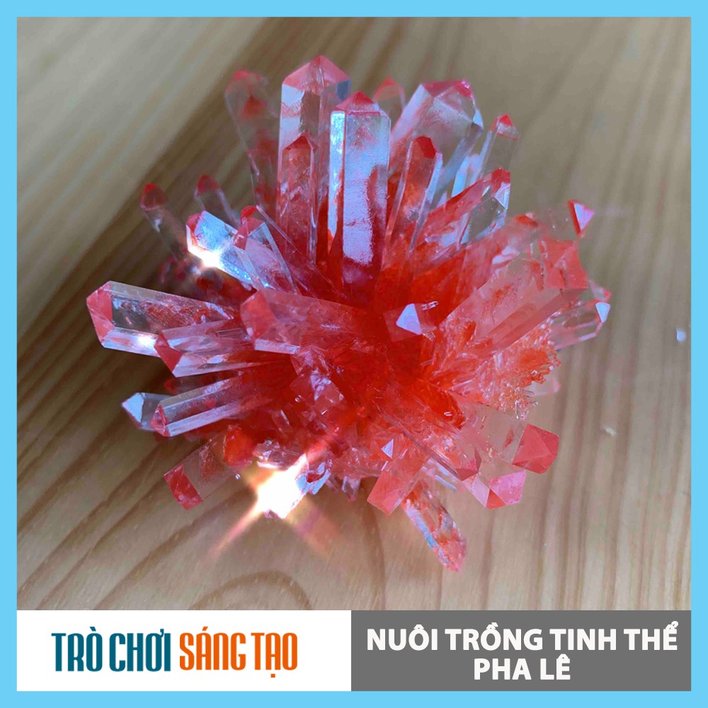 Bộ đồ chơi khoa học nuôi trồng tinh thể Crystal Growing Kit hàng chính hãng