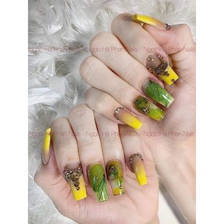 hoa khô ẩn gel nail