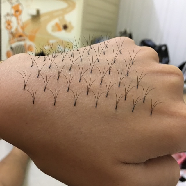 Fan mi sẵn