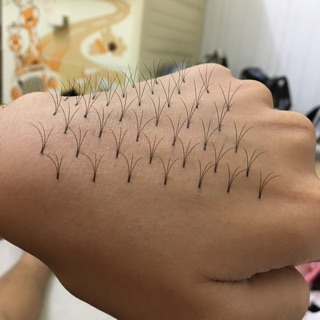 Fan mi sẵn