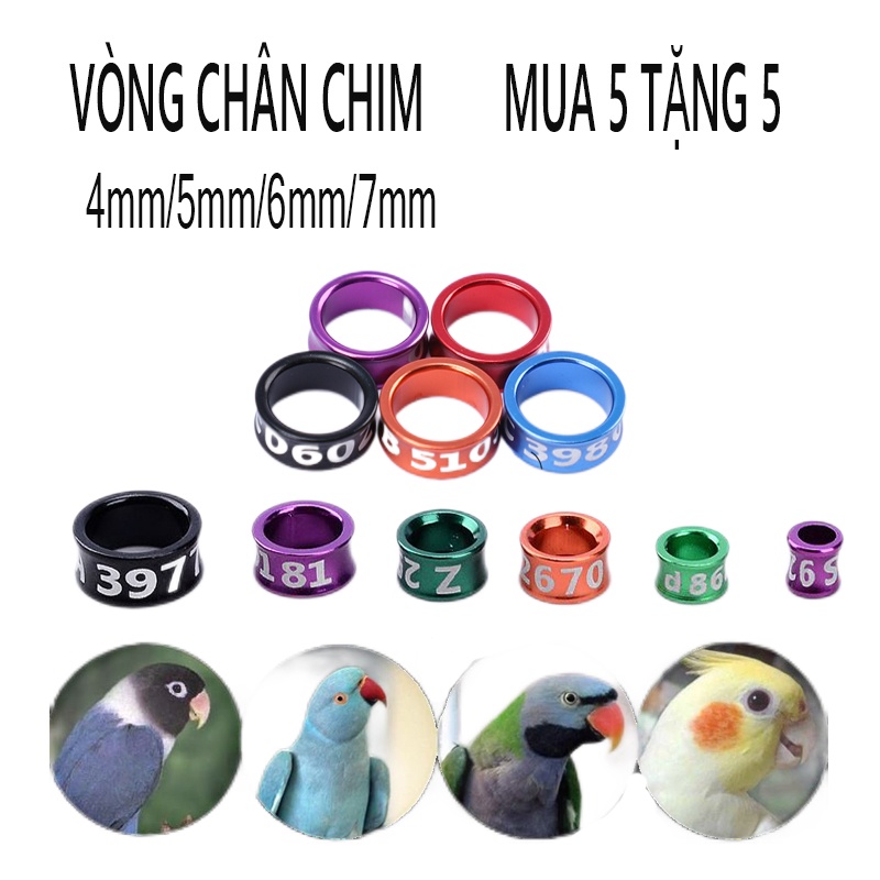 （MUA 5 TẶNG 5）7MM VÒNG ĐEO CHÂN CHIM NHẪN ĐEO CHO VẸT VÒNG ĐEO CHÂN CHO VẸT KHÔNG MẤT MÀU