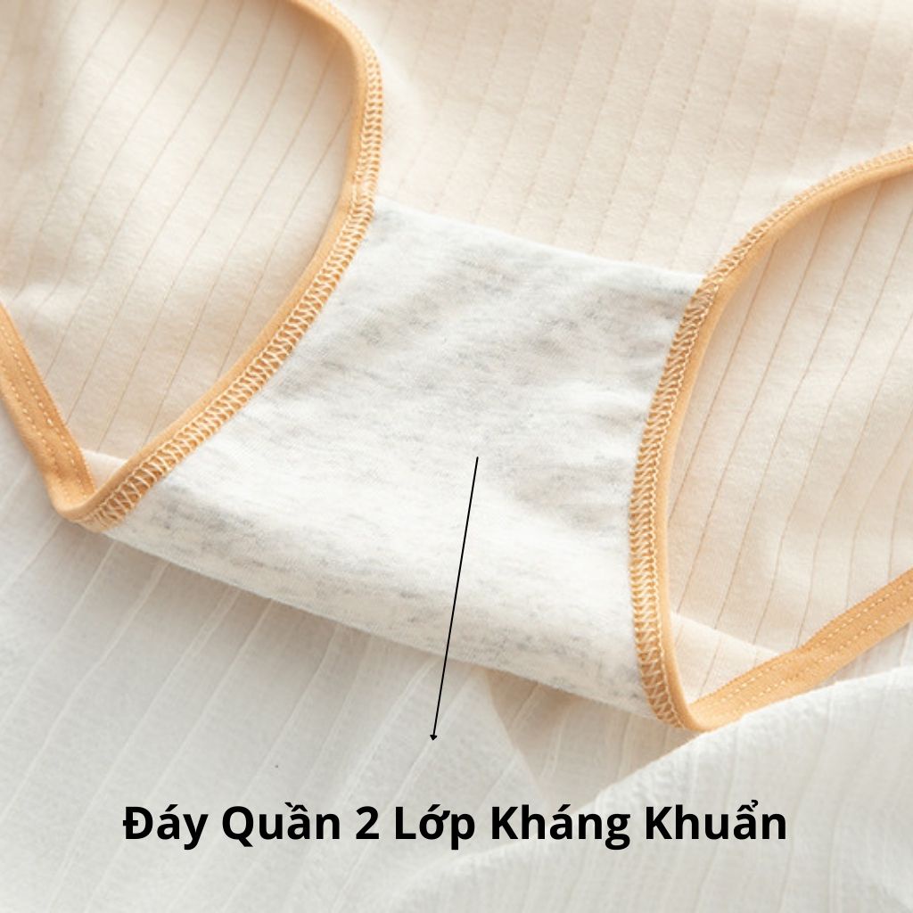 Set 5 Quần Lót Cotton Nữ Thông Hơi Kháng Khuẩn Hút Mồ Hôi Hoạ Tiết Panda Dễ Thương Cute TOPBRA
