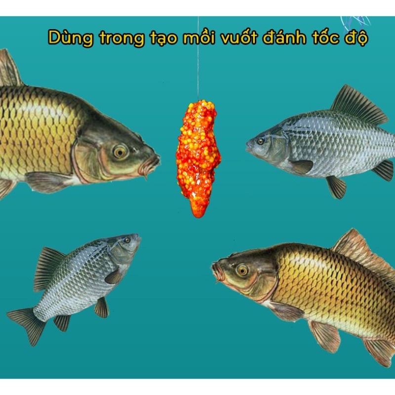 Bột Tơ Nhện Câu Cá