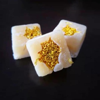 Hoa cúc đường phèn