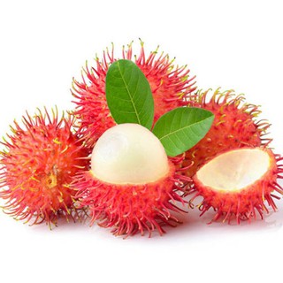 Chôm  Chôm  thái.