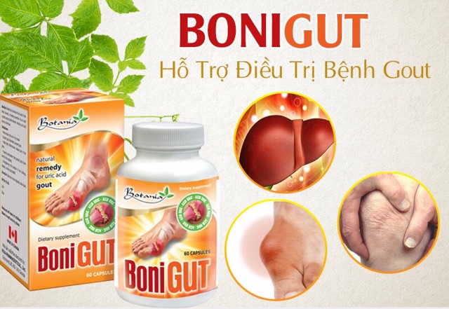 Bonigut - Hộp 60 viên - xua tan nỗi lo bệnh gout