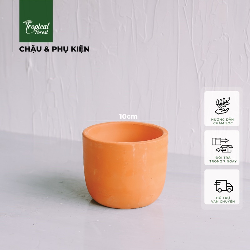 Chậu đất nung mini trồng cây TROPICAL FOREST