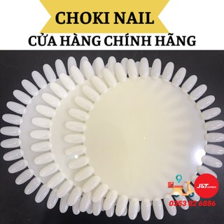 Móng mẫu tập vẽ vỉ tròn học nail loại to