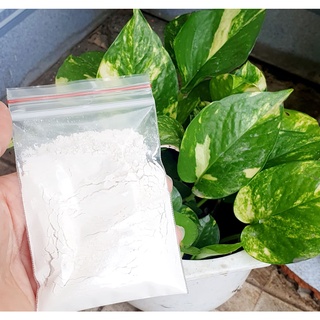 Nấm đối kháng Trichoderma, Trichoplus LOẠI 1 ủ phân nhà bếp