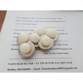 Nam châm đính bảng D28mm có núm trắng - nam cham chặn giấy