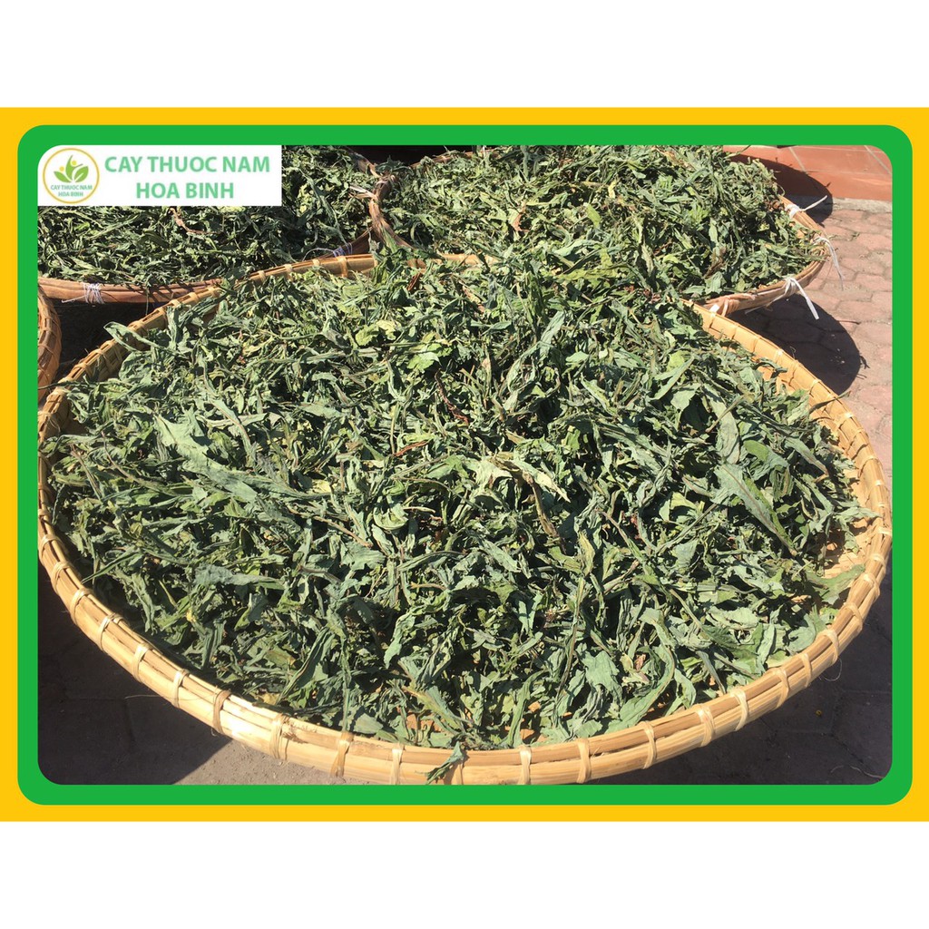 200g LÁ BỒ CÔNG ANH HÒA BÌNH