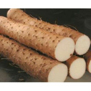 củ khoai mài khô (hoài sơn