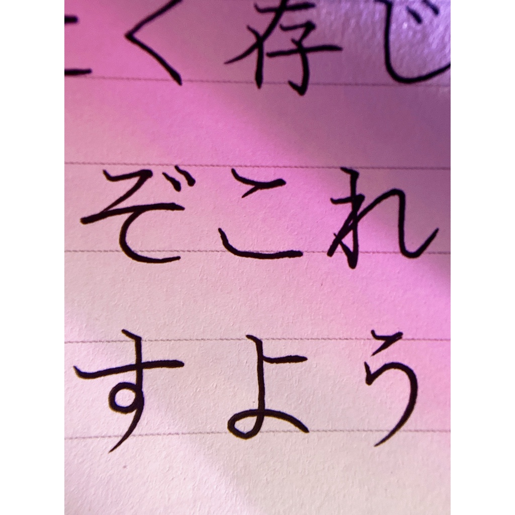 Bút Odemei Viết Tiếng Nhật Kanji bút viết chữ kanji đẹp có thanh đậm hiragana- ODM008
