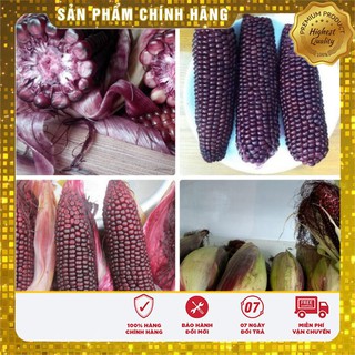 Hạt giống Ngô Nếp Tím dinh dưỡng ( gói lẻ 20 hạt)