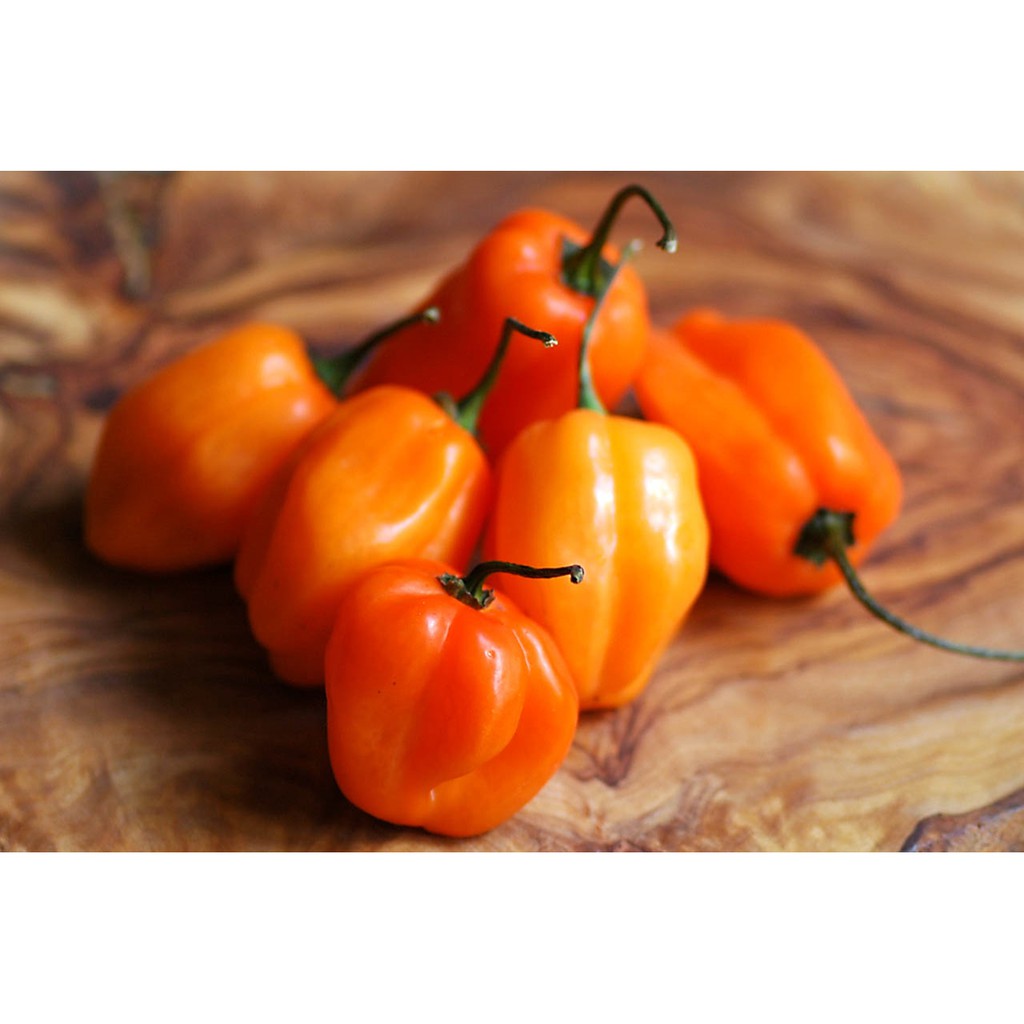 Hạt Giống Ớt - Cay Nhất Thế Giới C.Reaper ( Capsicum Chinense)