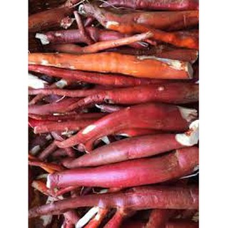 1 bịch SÂM TIÊN MAO ĐỎ (SÂM CAU ĐỎ) 0.5KG