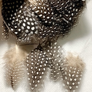 Lông vũ ẩn móng nail combo 4 gói