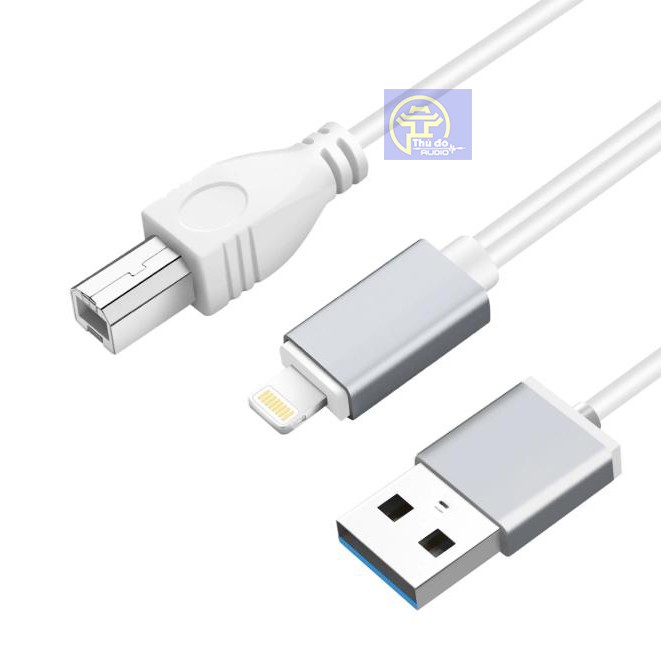 Dây Cáp kết nối điện thoại Iphone, ipad với DAC âm thanh kết hợp đầu sạc USB - Dây Iphone DAC