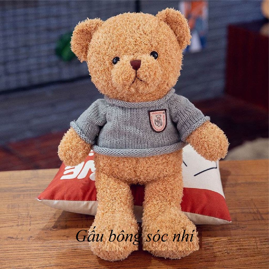 Gấu bông Teddy áo len cao cấp đồ chơi siêu xinh cho bé 💥 Tặng kèm đai kháng lực tập thể dục
