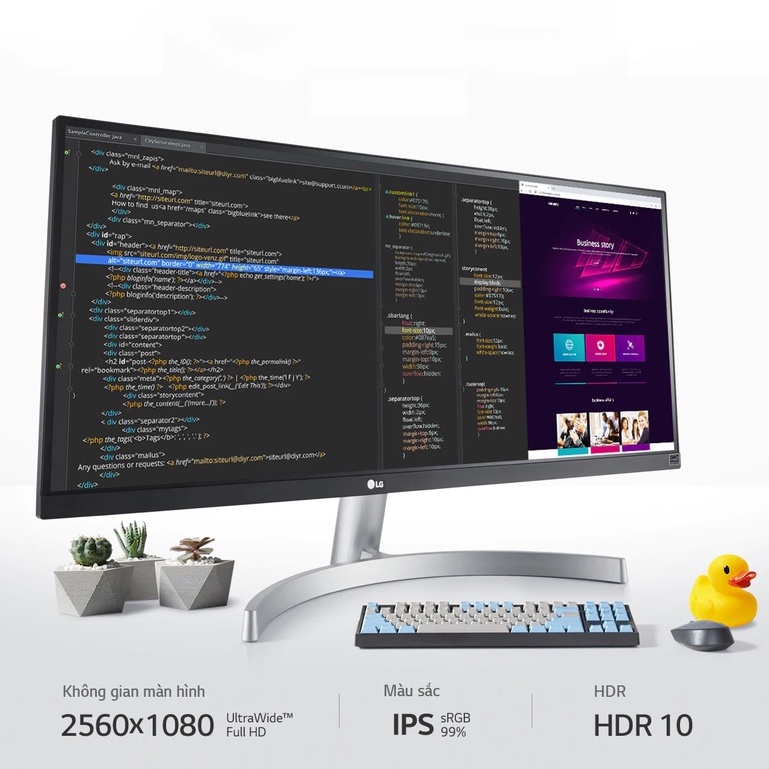 Màn Hình Máy Tính LG UltraWide™ 29'' IPS 75Hz AMD FreeSync™ HDR 29WN600W