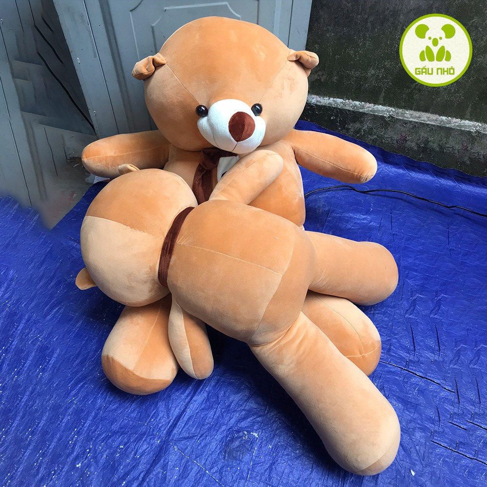 Gấu Bông Teddy Khăn Siêu Mềm Mịn CAO CẤP - GẤU NHỎ