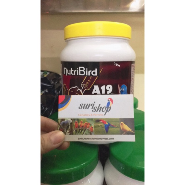 Bột A19/A21 hũ nguyên seal 800g cho chim vẹt