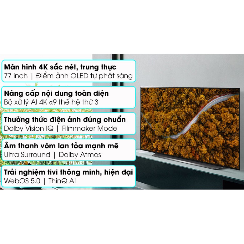 Smart Tivi OLED LG 4K 77 inch 77CXPTA Mới 2020