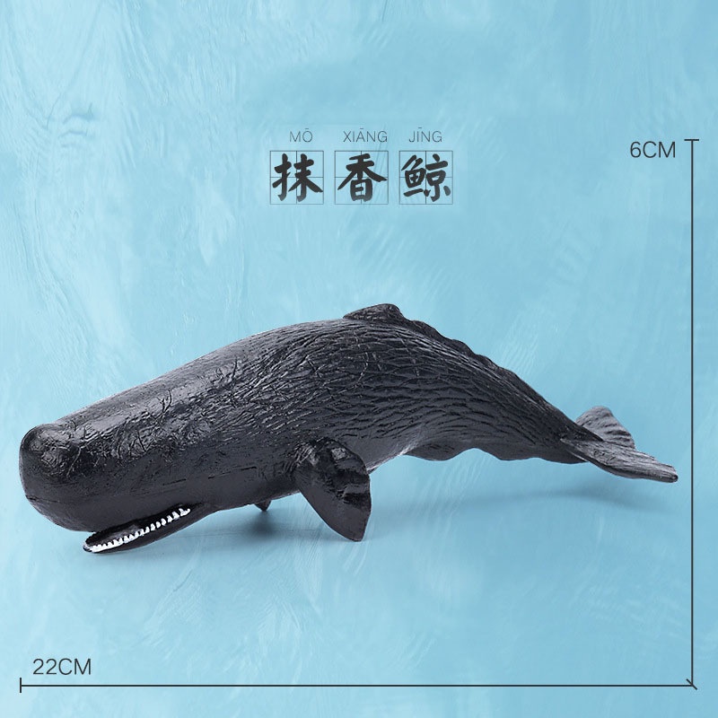 Mô Hình Cá Heo beluga killer / Cá Mập Trắng Bằng Nhựa Độc Đáo Trang Trí Cho Bé