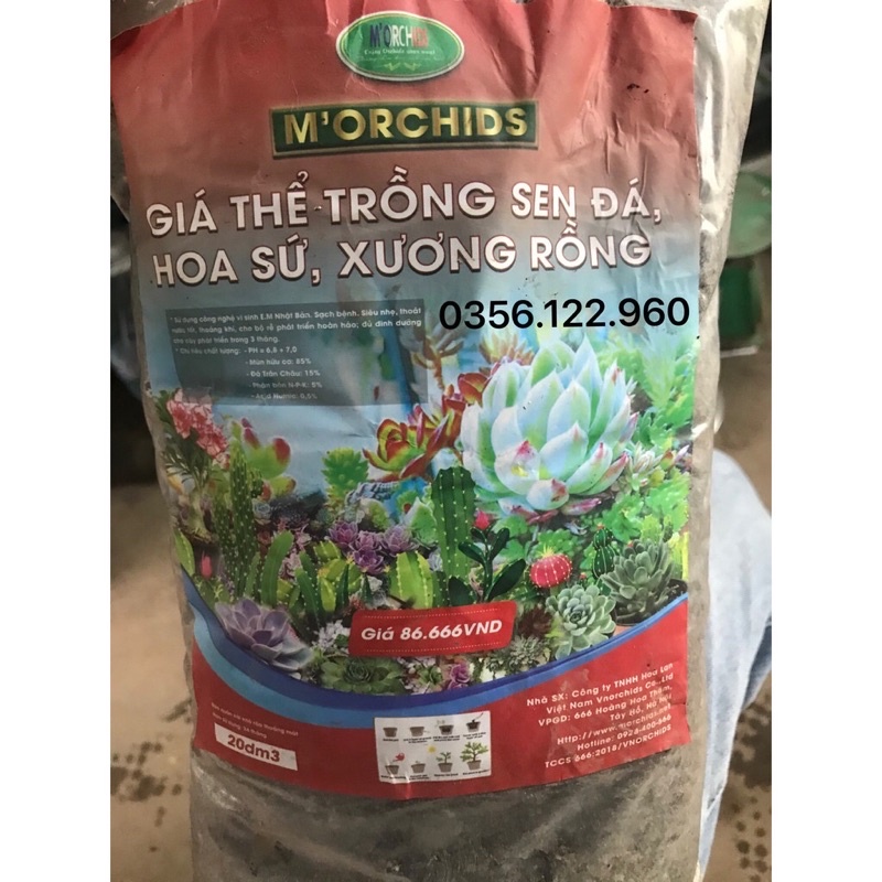 Đất trồng cao cấp trộn sẵn chuyên dùng cho sen đá xương rồng, cây cảnh, hoa cần ít nước