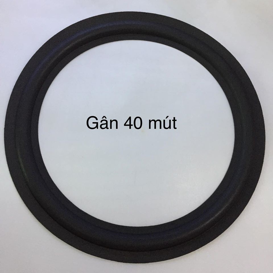 Gân loa bass 40 cm