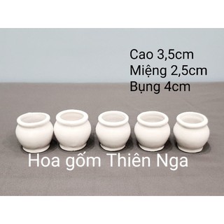 Combo 5 chậu hoa gốm sứ mini 3,5 cm