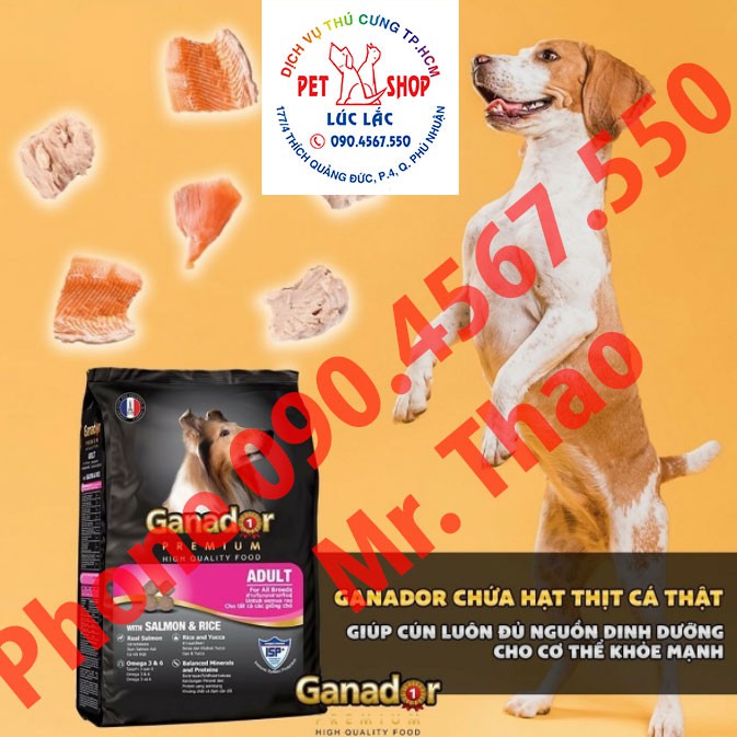 FREESHIP Combo 05 Gói x 400 gram Thức ăn cho chó trưởng thành Ganador vị cá hồi &amp; gạo Salmon &amp; Rice