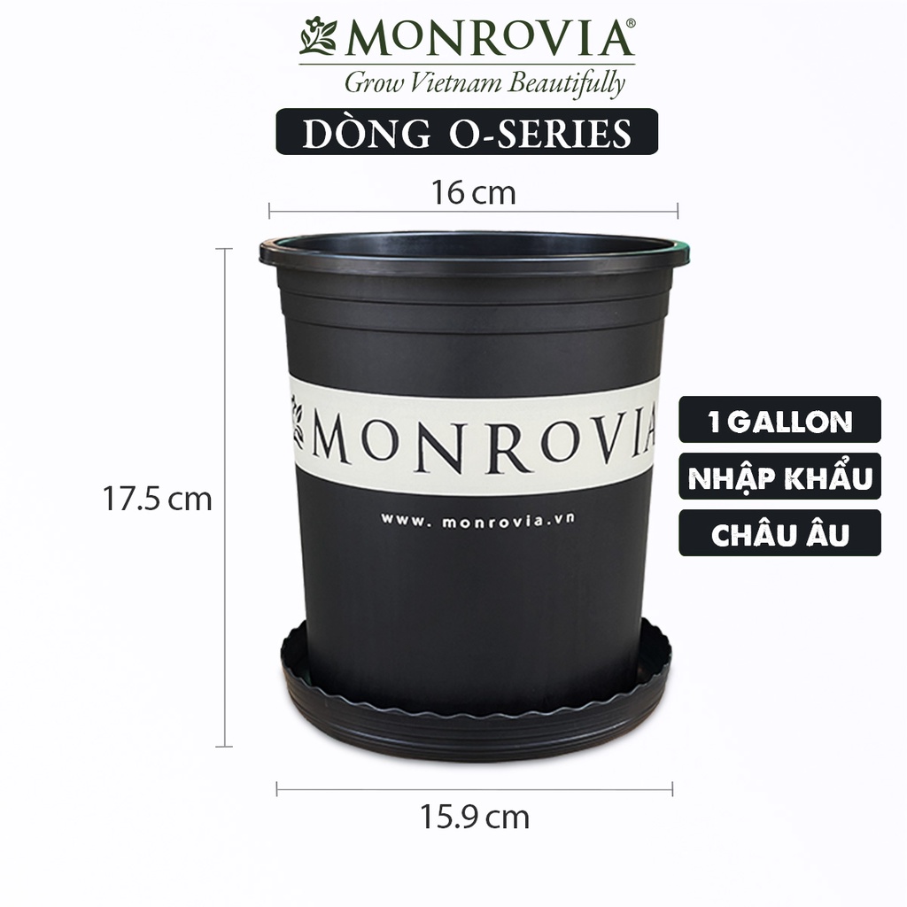 Chậu nhựa trồng cây MONROVIA 1 Gallon màu đen, để bàn, treo ban công, ngoài trời, sân vườn, tiêu chuẩn Châu Âu