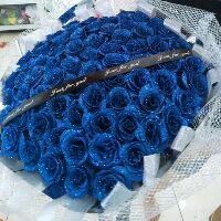 Sỉ hoa sáp dũng sinh