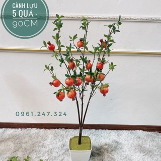 Cây lựu giả 15 quả 85 cm