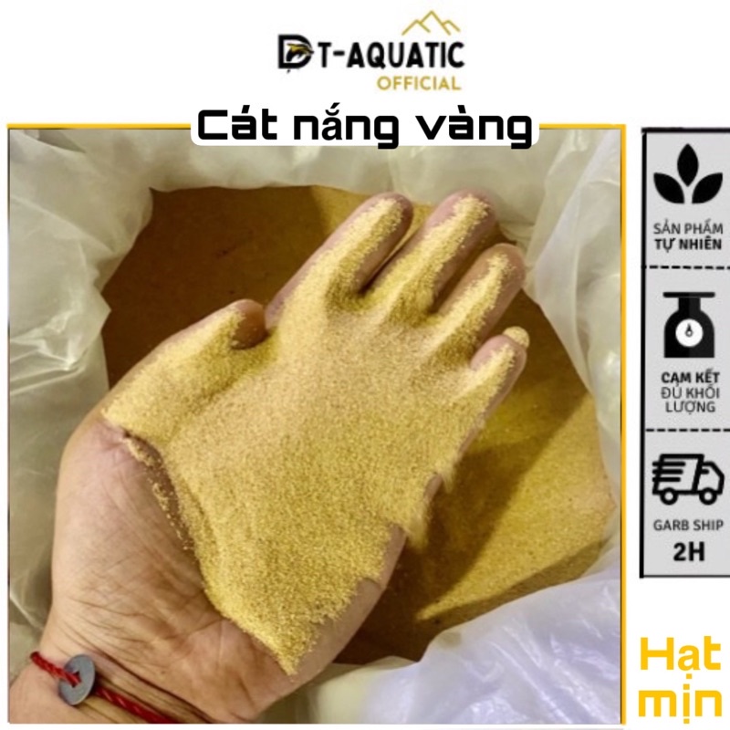 Cát nắng vàng [1kg] Trải nền Trang Trí Bể Thuỷ Sinh, Bể cá cảnh