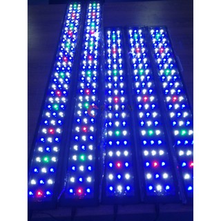 Đèn Led 2 chế độ màu BRIGHT LEOPARD WRGB siêu sáng tiết kiệm năng lượng cho hồ cá, hồ thủy sinh