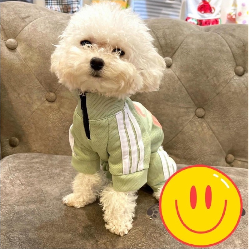 Áo lưới 4 chân baby cho chó mèo