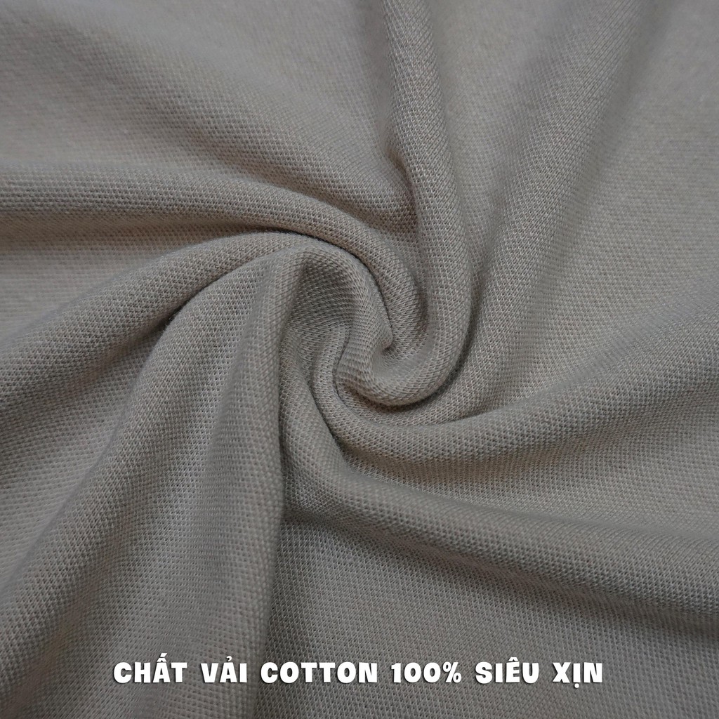 [100% Cotton] Áo Polo Nam - Hàng Thiết Kế Chính Hãng Rosi / Mã Áo: P02